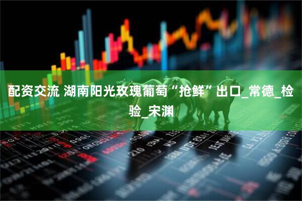 配资交流 湖南阳光玫瑰葡萄“抢鲜”出口_常德_检验_宋渊