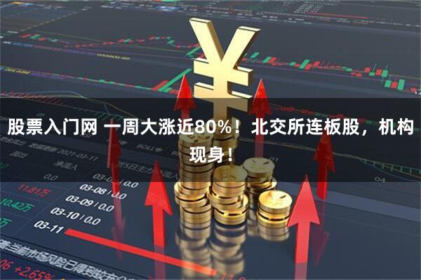 股票入门网 一周大涨近80%！北交所连板股，机构现身！