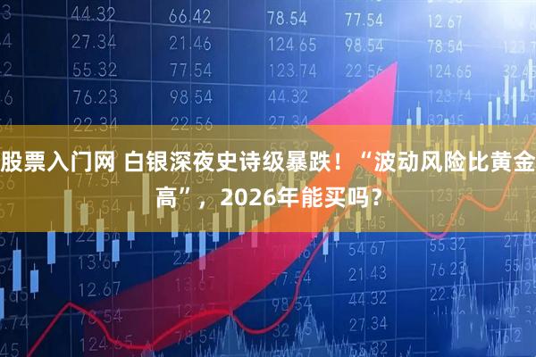 股票入门网 白银深夜史诗级暴跌！“波动风险比黄金高”，2026年能买吗？