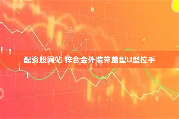 配资股网站 锌合金外装带盖型U型拉手